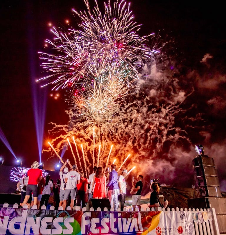 Kindness Festival volunteer team at the stage watching fireworks display